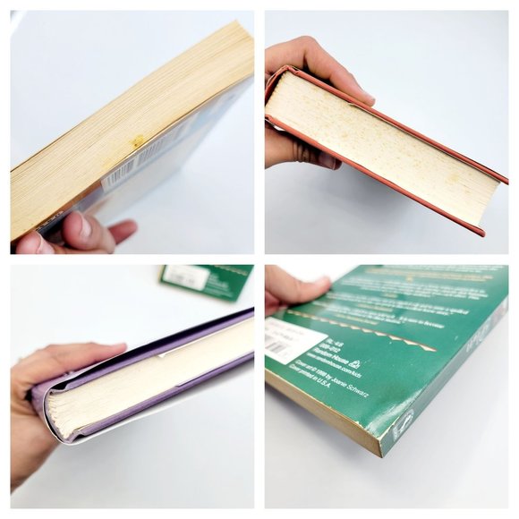 Vintage 90s Lot of 5 Horse Themed Young Adult Books Willow King National Velvet - Picture 12 of 12